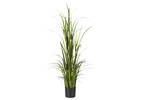 Grandes herbes en pot Martha