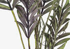 Fia Leaf Stem