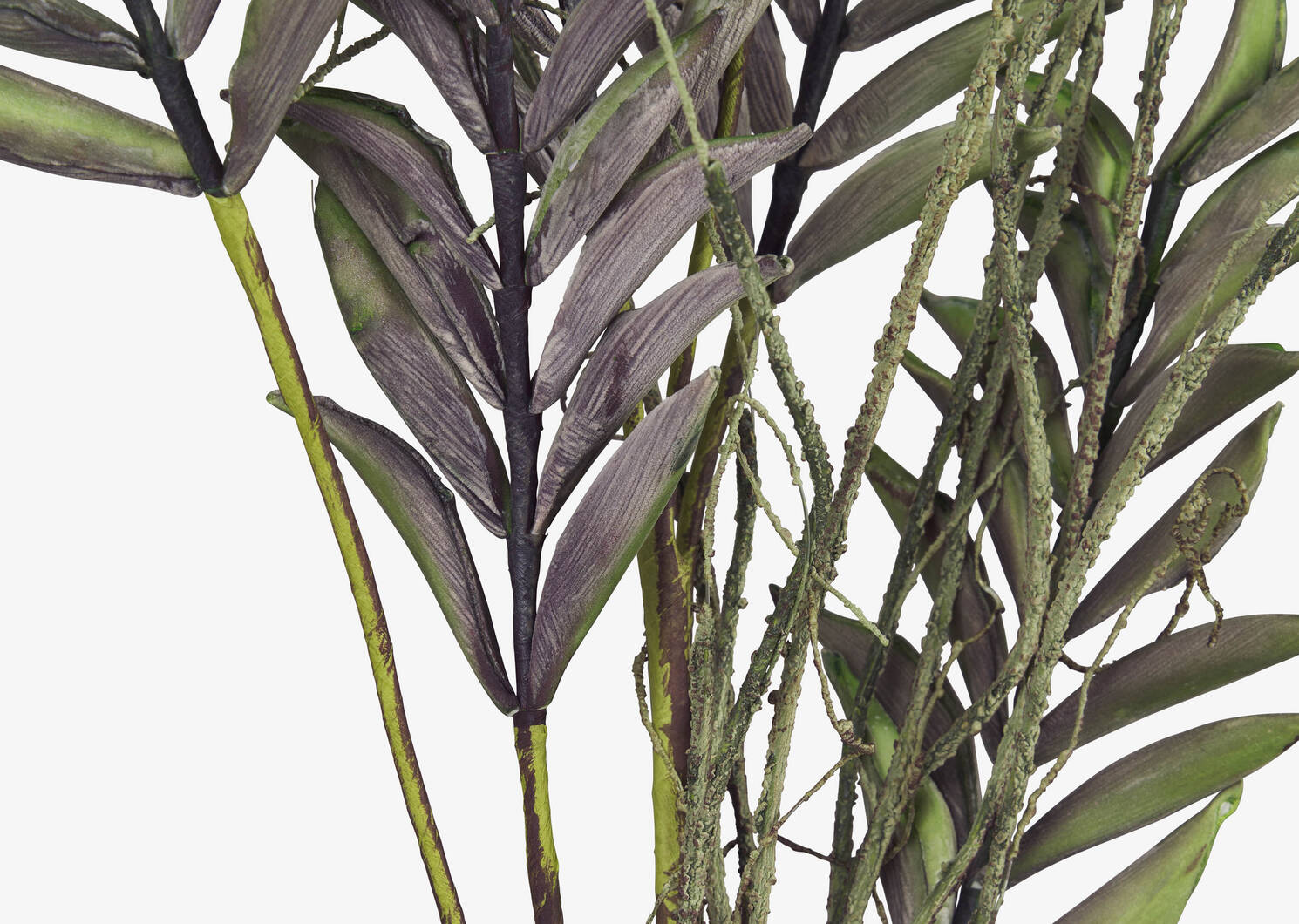 Fia Leaf Stem