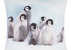 Coussin Penguin Chicks 20x20 blanc