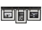 Ashworth Frame 3-4x6 Black/White