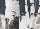 Snowfall Wall Art