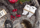 Coldin Owls Orn White