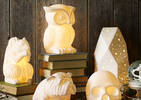 Owl Glow Lamp