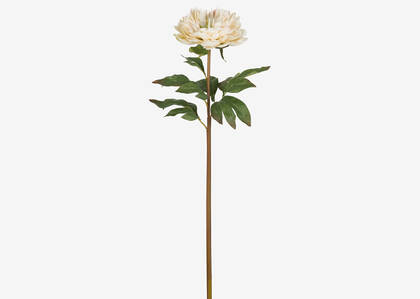 Jayde Peony Stem Ivory