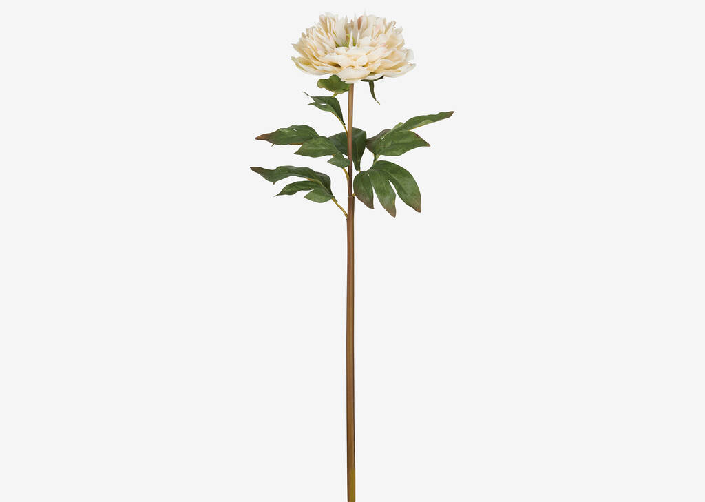 Jayde Peony Stem Ivory