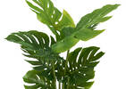 Keilani Monstera Potted Plant
