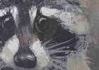 Rascal Raccoon Wall Art