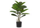Faye Rubber Plant Potted