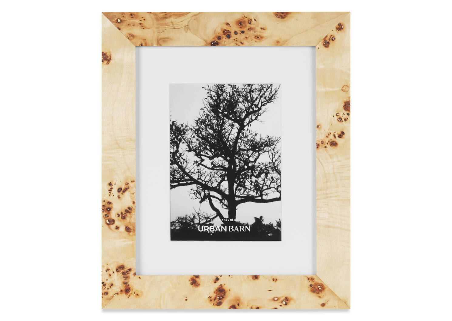 Oslo Burl Frames