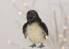 Flippers Penguin Orn