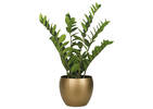 Joni Planters