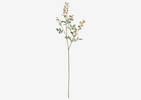 Branche de roses Matilda ivoire
