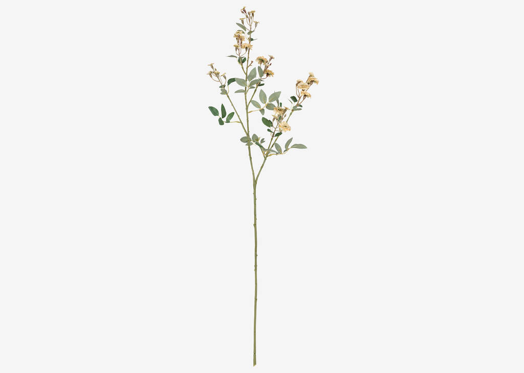 Branche de roses Matilda ivoire