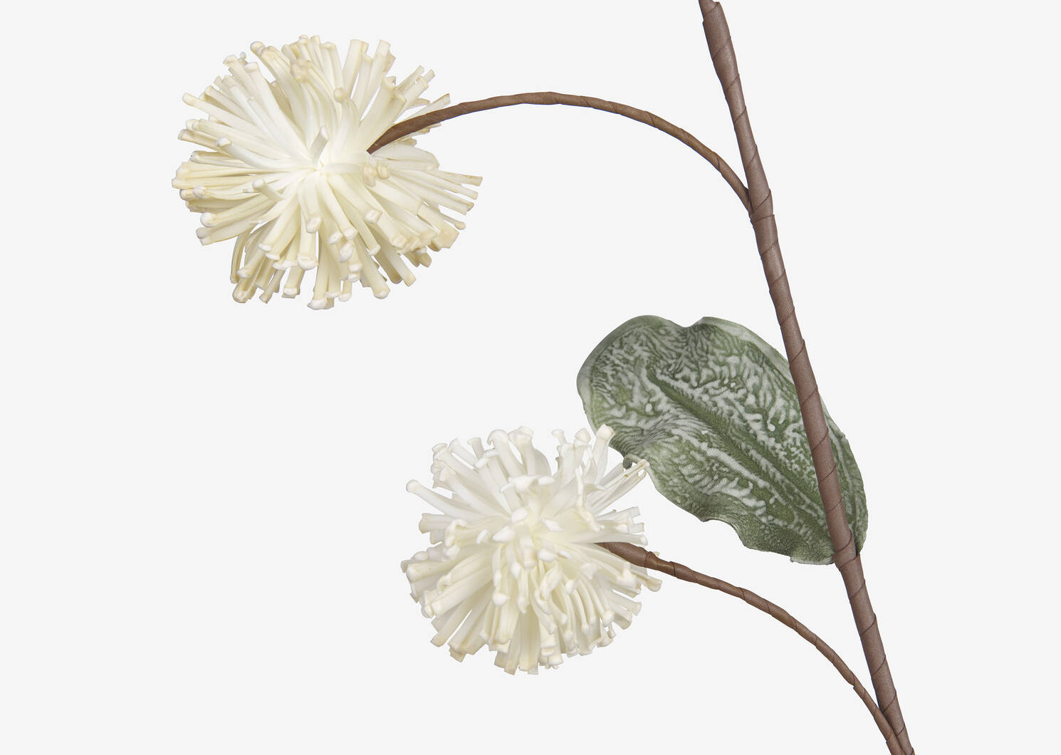 Branche d'alliums Eleanor ivoire