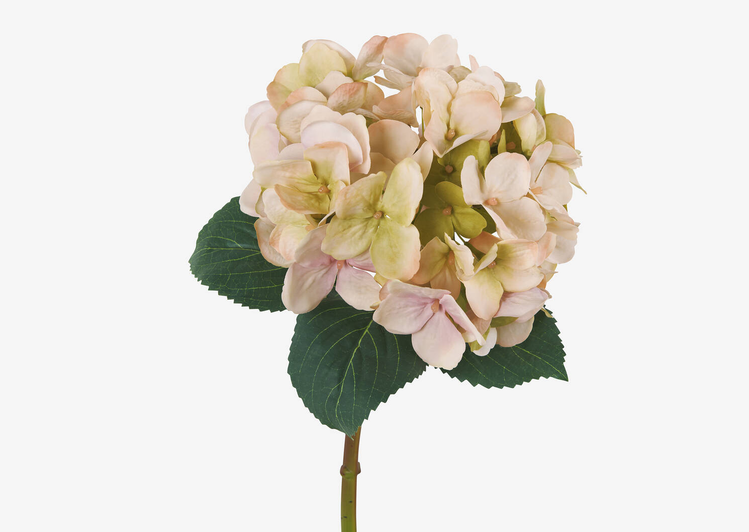 Tige d’hydrangée Gretel rose