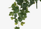 Jinni Grape Vine Branch