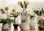 Bouquet de tulipes Agnes blanches