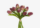 Bouquet de tulipes Berdine pétales