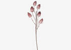 Liya Bud Branch Clay Pink