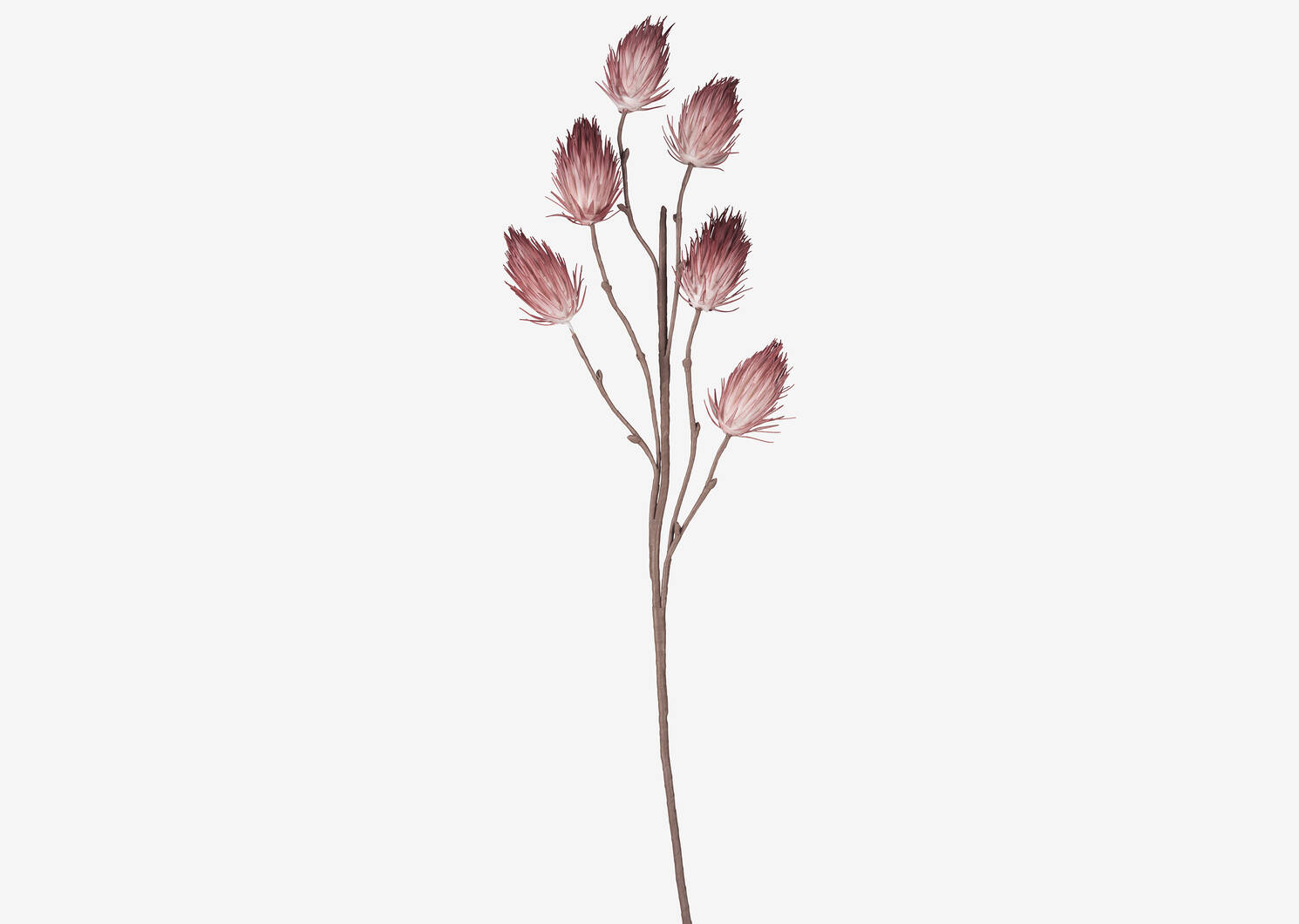 Liya Bud Branch Clay Pink