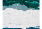 Galapagos Wall Art