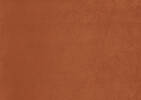 Jeté ours en peluche Taylor 60x70 cognac