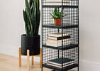 Sansevieria en pot Fynn