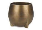 Novah Planters Gold