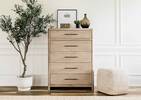 Wallen Chest -Dunn Ginger