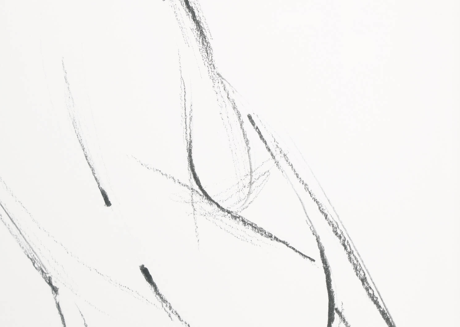Sketch II Framed Print