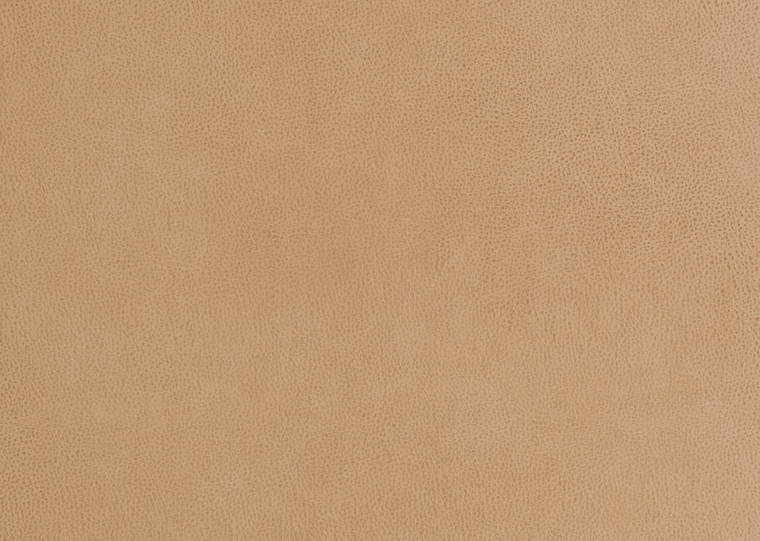 Carson Leather Sofa -Zen Stone