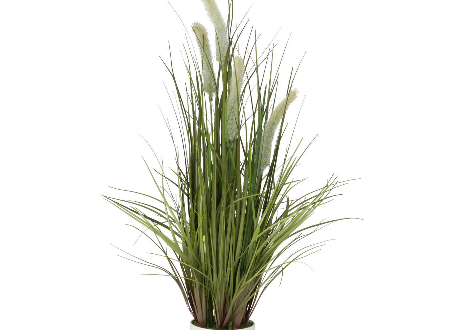 Joshua Grass Potted Green