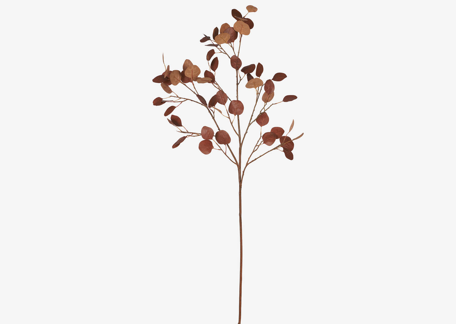 Afton Eucalyptus Branch Orange