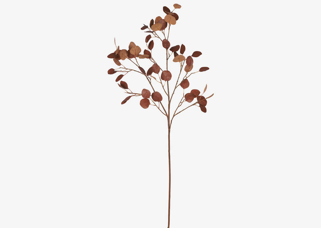 Afton Eucalyptus Branch Orange