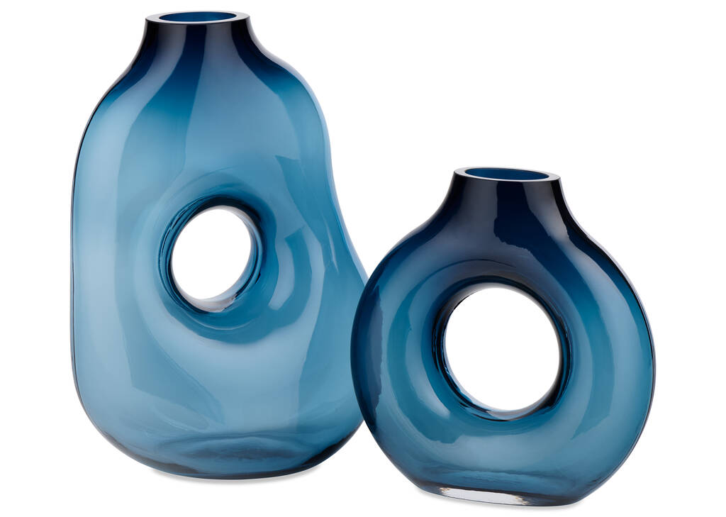 Ravi Vase