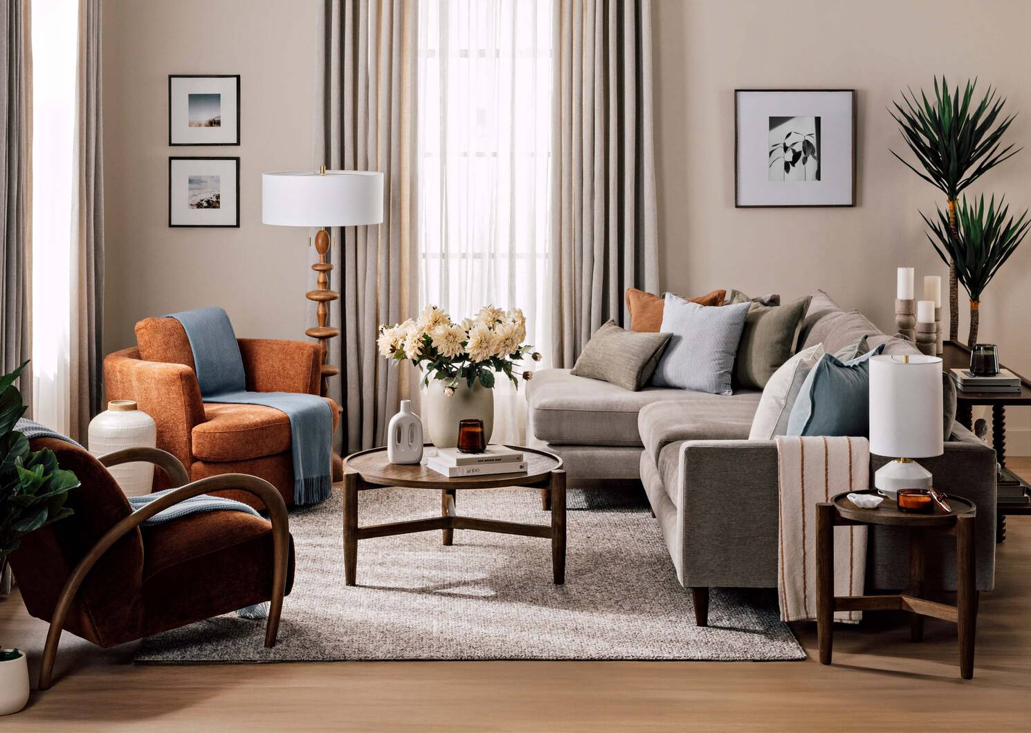 Lucas Yucca Tree Potted