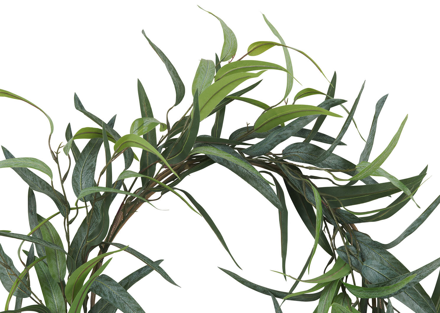 Kaiden Eucalyptus Wreath
