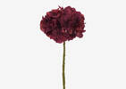 Shae Hydrangea Stem Red