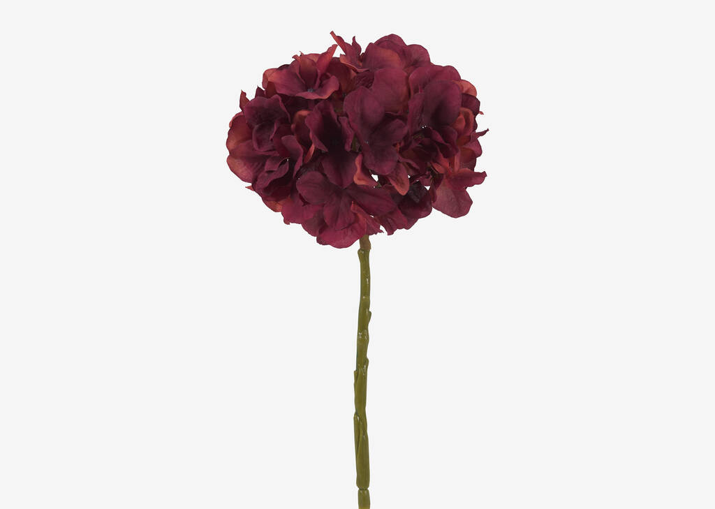 Shae Hydrangea Stem Red