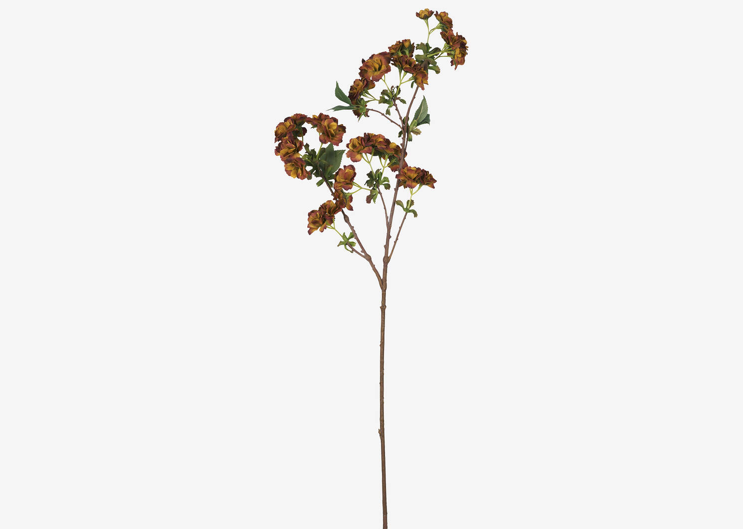Gabriella Autumn Blossom Stem Marigol