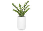 Sicily Outdoor Planter Small