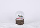 Vintage Wagon Snow Globe