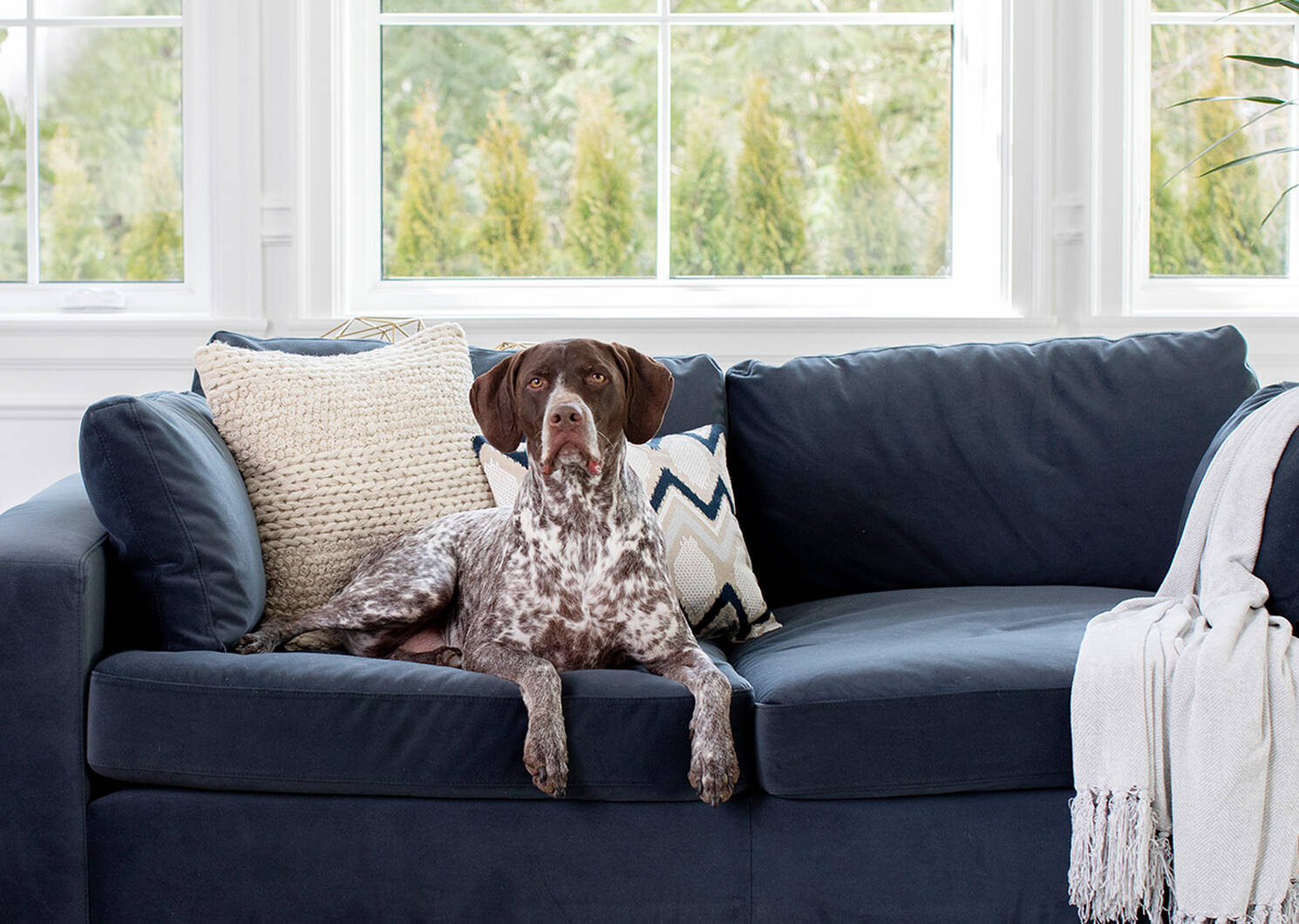 Nate Sofa Rylan Steel Urban Barn