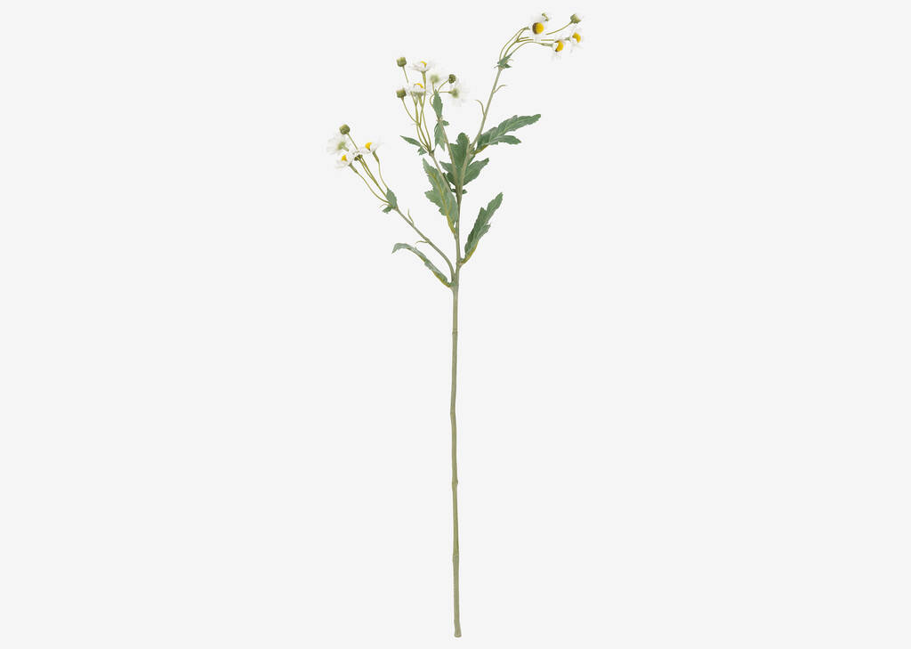 Trish Anemone Branch White