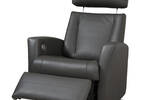 Benson Motion Recliner -Tre Graphite