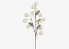Branche d'alliums Eleanor ivoire