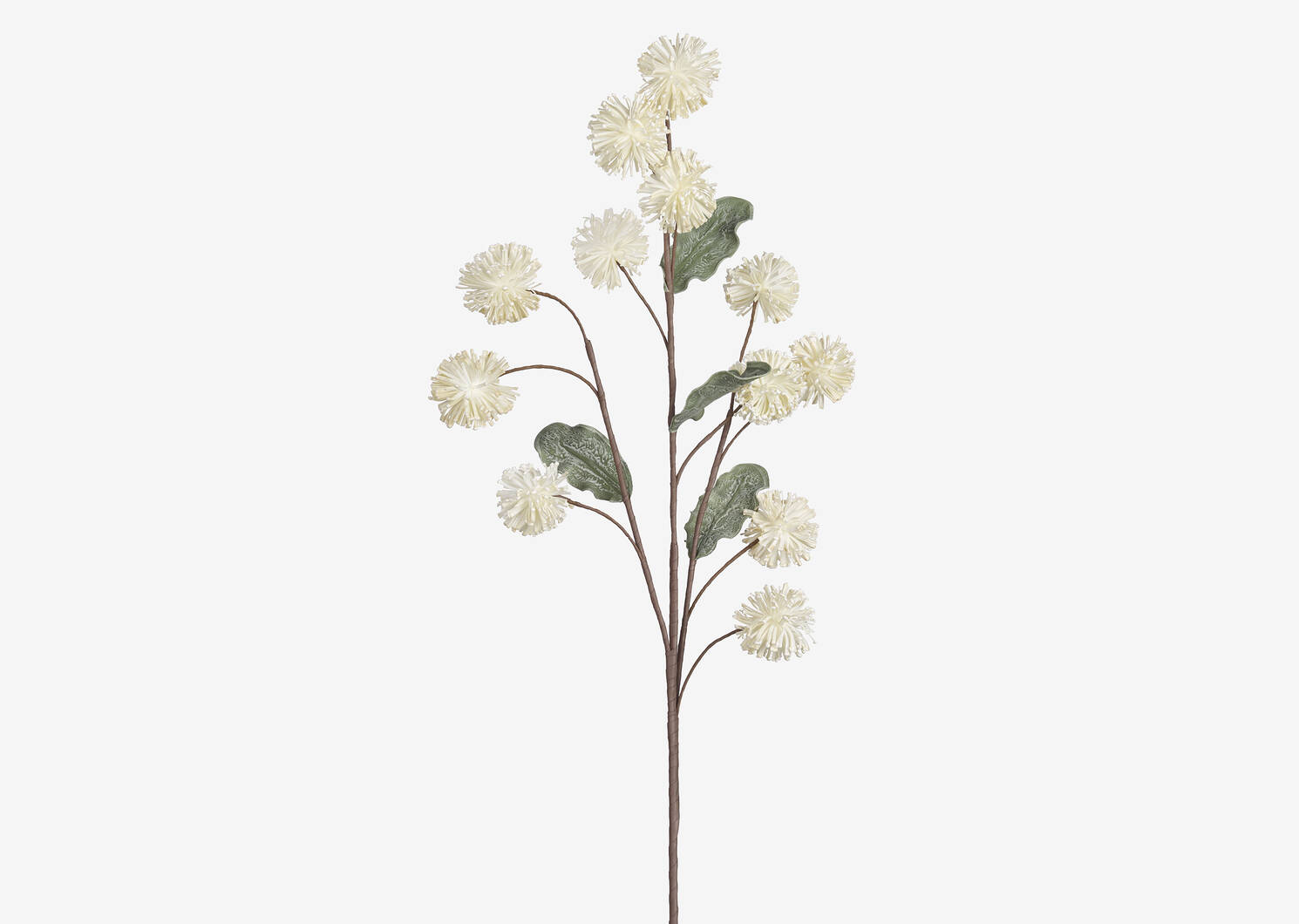 Branche d'alliums Eleanor ivoire