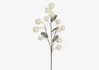 Eleanor Allium Branch Ivory