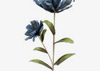 Kinga Flower Stem Jet Blue